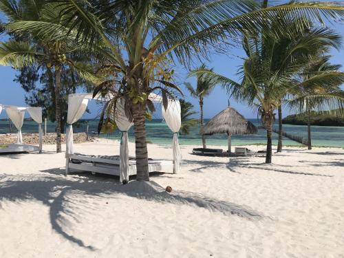 Fortamu Coral House in วาตามู