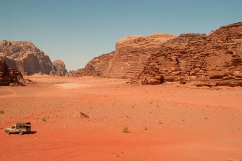 under the stars wadi rum