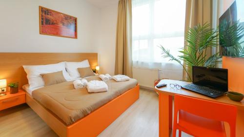 1 double bed, 1 sofa bed