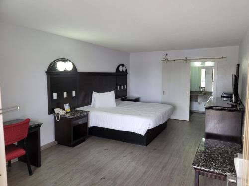 King Room - Non-Smoking