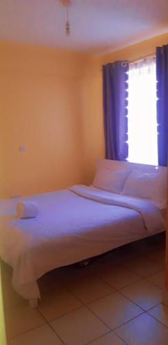 Trm drive apartment, Roysambu