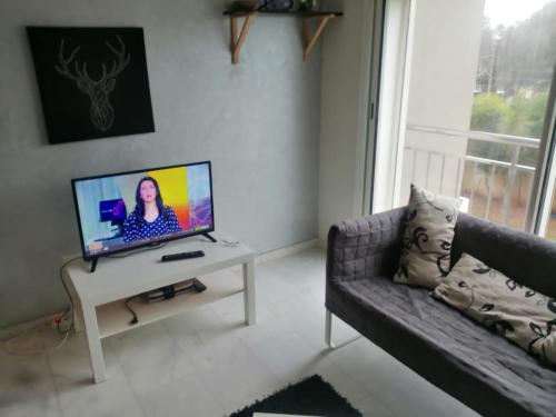 Appart 1ch Salon bien meublé