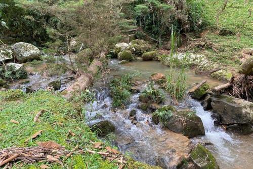 Finca tipica con Jacuzzi y avistamiento de aves Gomez Plata