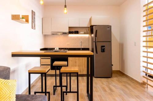 MODERNO LOFT. CAOBOS COLIVING. ZONA ROSA