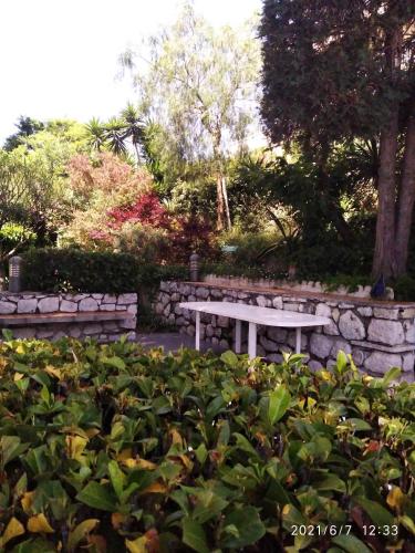 NICE- GAIRAUT - JARDIN PRIVE- GRAND F1 LUMINEUX-Piscine Collective, Nice (fotografie 9)