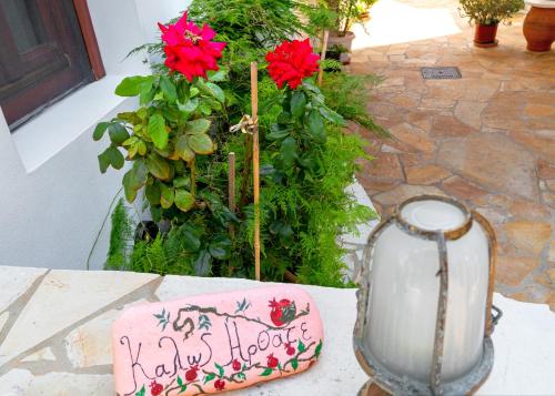  Iliolousto Studios in Skala