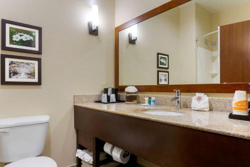 Comfort Suites Little Rock