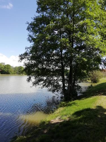 AU CLOS DE L'ETANG