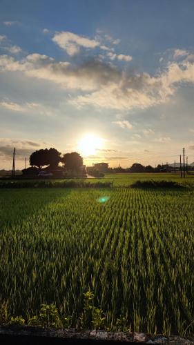 有貓匿鄉村咖啡館民宿