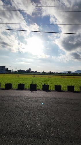 有貓匿鄉村咖啡館民宿