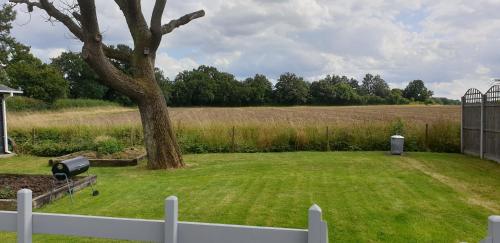 The Cabin,Kings Lane