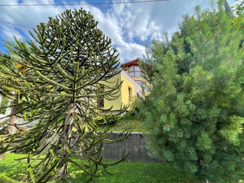 Apartma 7 - In the heart of Soča Valley, Tolmin (fotografie 2)