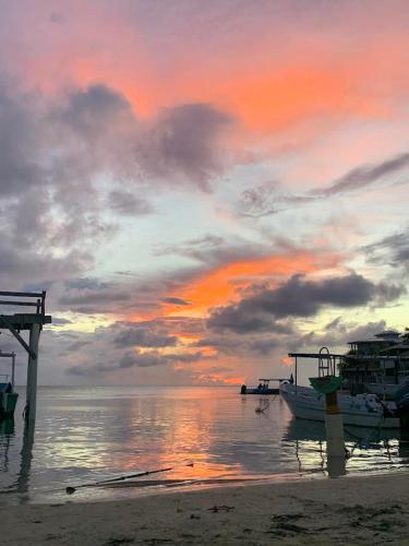 Seabreeze Inn photo