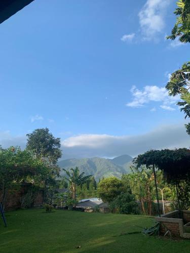 Rumah Kupu Kupu