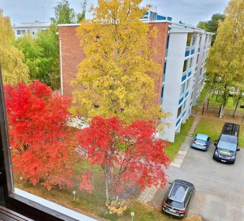 City apartment Over view