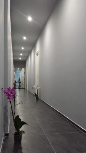 Alma Hotel - image 6