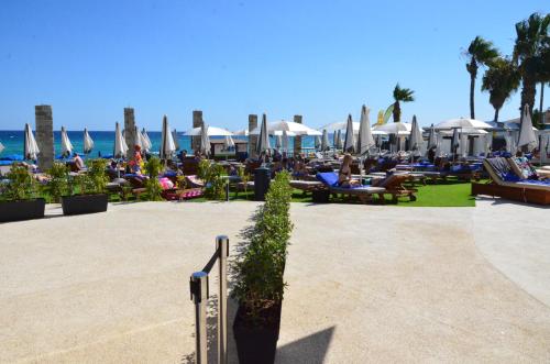 Flamingo Paradise Beach Hotel - image 9