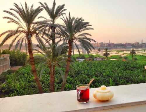 룩소르 DREAM ISLAND Hotel 2성급 호텔 전망