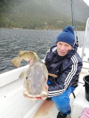 Norway Stabben Tour - image 4