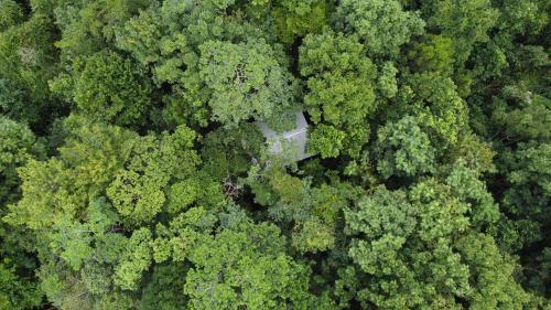 Yatama Rainforest Ecolodge