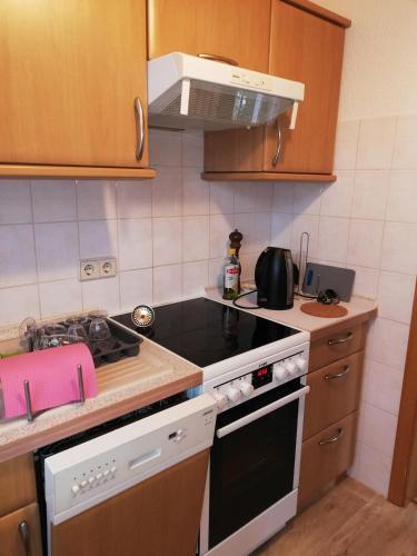 Schoene Ferienwohnung bei Dresden