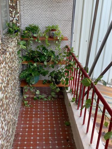 Erkély/terasz, GuanMa in Miaoli City