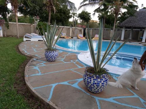 Kolam renang, Roseville in Mombasa