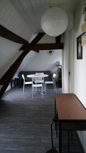 Appartement spacieux vue sur Loire proche du centre