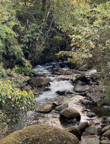 Arte de Plumas birding lodge