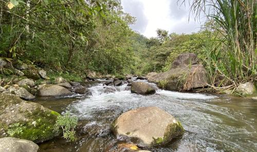 Arte de Plumas birding lodge