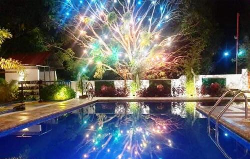 View, Villa Susane in Balamban