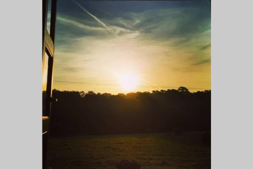 Glamp in Style in an Unique Horsebox Home