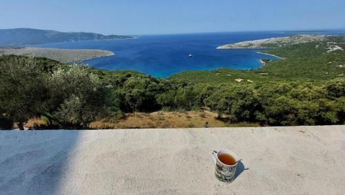 Apkārtne, Ustrine view in Ustrine
