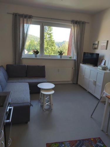 Apartmán Tony Slapy (Apartman Tony Slapy) in Slapy