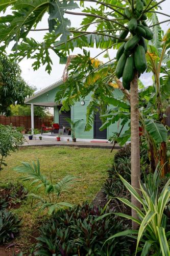 Gîte TI KAZ MORINGA, Charmante case créole à St Louis - Location saisonnière - Saint-Louis