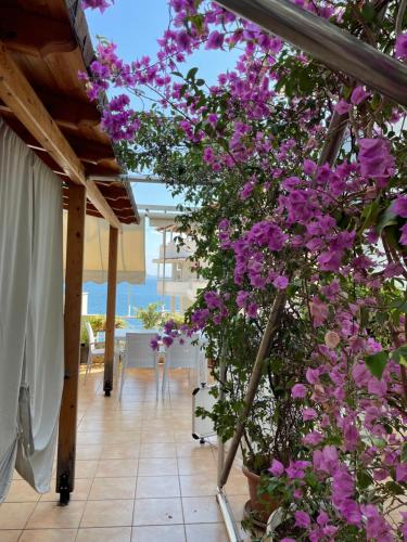 Relax Apts Saranda 3