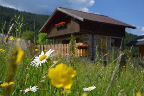 Baita Meidlnhof gîte à louer Fierozzo