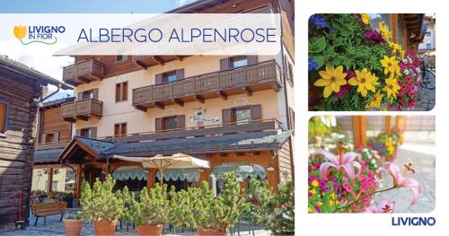  Albergo Alpenrose in Livigno