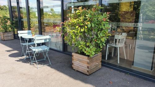 B&B Hôtel Igny Palaiseau - image 6