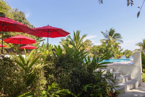 321250562 Ysuri Sayulita - Beachfront Hotel