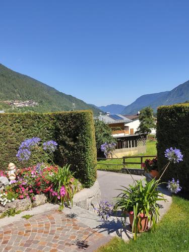  Appartamento Patrizia e Franco in Commezzadura