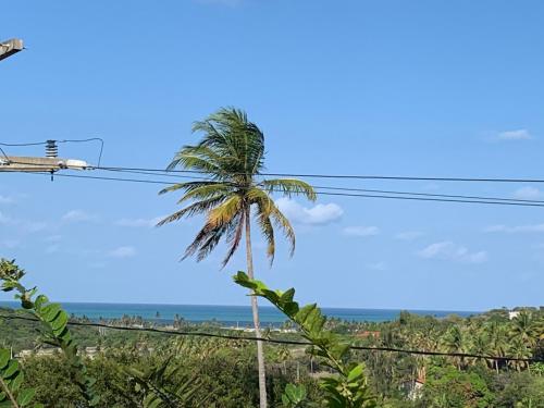 Sítio Vila das Flores