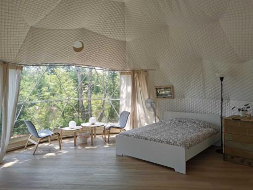 . Starry Night Romance - D5