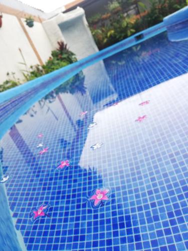 Swimming pool, Berlor Airport Inn in Alajuela
