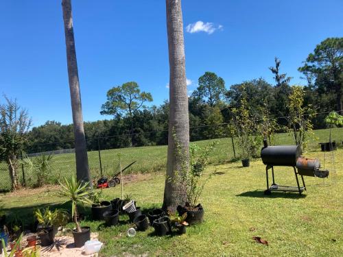 Garden, Irises House - private room in home in Poinciana