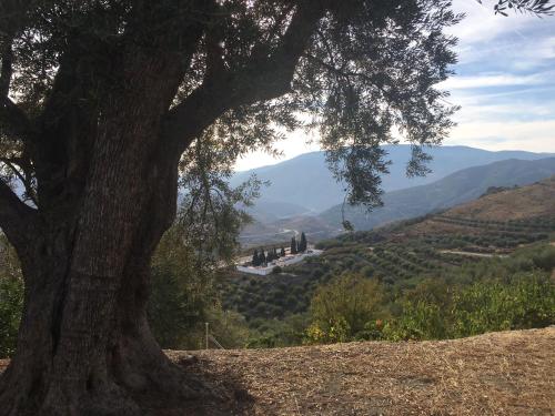  Jardin Andaluz Appart Alhambra in Pinos del Valle