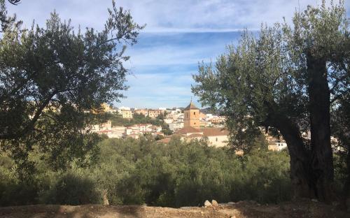  Jardin Andaluz Appart Alhambra in Pinos del Valle