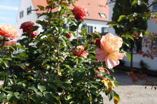 Hotel Gasthaus Wangerhof 4