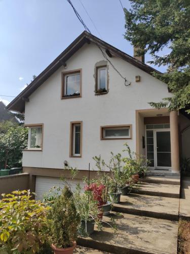 Exterior view, Dali Apartment Szentendre in Szigetmonostor
