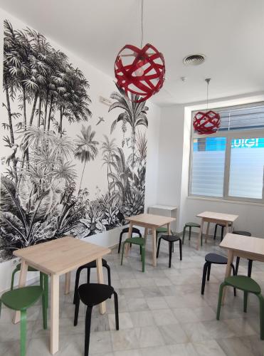 サマイ ホステル